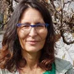 Portrait Mag. Dr. Elisabeth Reisenzein-Hirsch